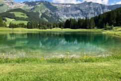 An illustrative photo of a lake surrounded by pine trees.