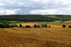 An illustrative photo of brown and green fields under a cloudy sky.