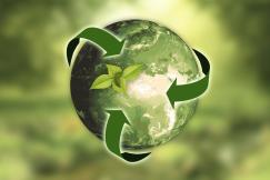 An illustrative photo of Earth with recycling symbol and a plant sprouting leaves