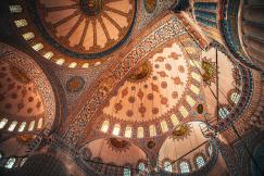 An illustrative photo of a brown and blue floral ceiling