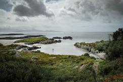 An illustrative photo of green islands in a body of water