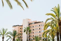 An illustrative photo of a building beside green palm tree.