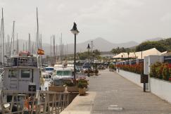 An illustrative photo of a harbor filled with lots of boats and flowers.