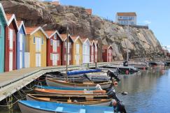 An illustrative photo of boats.