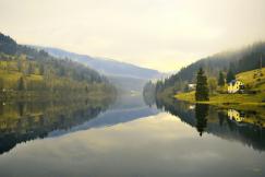 An illustrative photo of green trees beside lake.