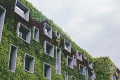 An illustrative photo of a white concrete building with green plants on it