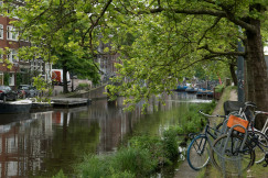 An illustrative photo of a couple of bikes parked near a body of water in a city