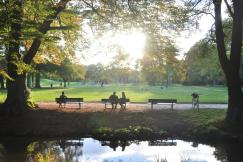 An illustrative photo of people sitting on benches in the park near the lake