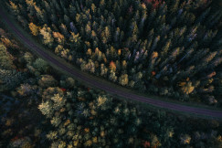 An illustrative photo of a road surrounded with forest in autumn