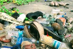 An illustrative photo of clear plastic water bottles
