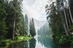 An illustrative photo of a body of water surrounded by pine trees