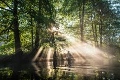 An illustrative photo of people on the boat in a river in a forest