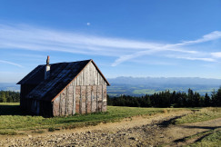 An illustrative photo of a brown wooden house near green trees under blue sky during daytime