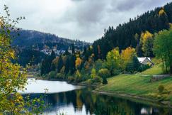 An illustrative photo of a lake surrounded by trees and mountain.