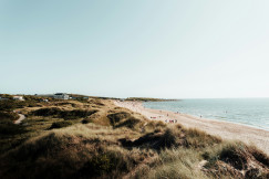 An illustrative photo of a coast with green grass near the sea in Sweden