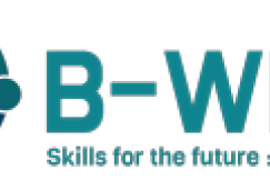 B-WISE logo
