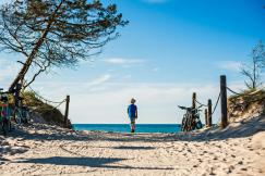 An illustrative photo of a person standing on a beach.
