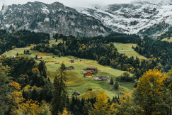 An illustrative photo of houses on a green hill