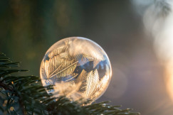 An illustrative photo of frozen bubble.