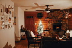 An illustrative photo of a christmas tree.
