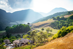 An illustrative photo of green trees on mountain under white clouds