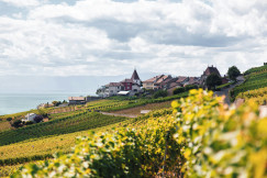 An illustrative photo of a red and white building under white clouds during daytime