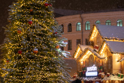 An illustrative photo of a christmas tree.