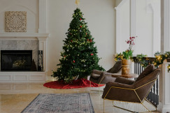An illustrative photo of a christmas tree.