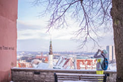 An illustrative photo of a woman drinking near a bench under a tree.