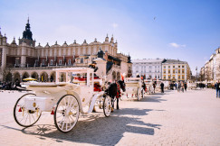 An illustrative photo of horses with carriages in Krakow, Poland