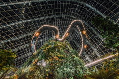 An illustrative photo of trees inside of the glass building