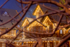 An illustrative photo of a house with a lot of christmas lights.