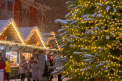 An illustrative photo of a group of people standing around a christmas tree.