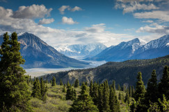 An illustrative photo of green trees in the mountains