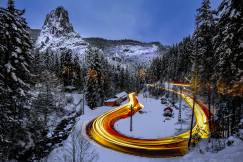 An illustrative photo of road surrounded by pine trees.