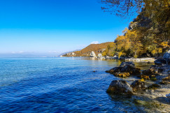 An illustrative photo of green trees near body of water.