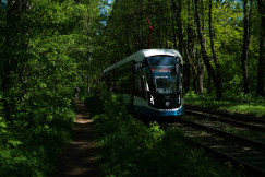 An illustrative photo of a modern train traveling through a green forest.