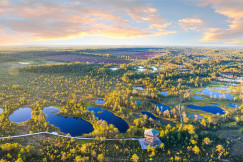 An illustrative photo of a view of lakes in a forest.