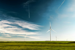 An illustrative photo of wind turbines on green grass