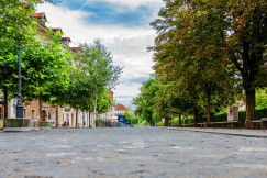 An illustrative photo of a street with green trees