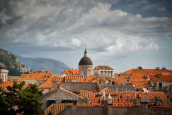 An illustrative photo of houses with orange roofs