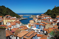 An illustrative photo of houses on a coast in a body of water
