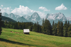 An illustrative photo of a grassy field with mountains in the background.