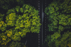 An illustrative photo of a road between green trees
