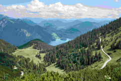 An illustrative photo of green trees on mountain under white clouds.