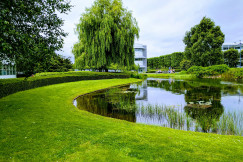 An illustrative photo of green trees beside river under blue sky.