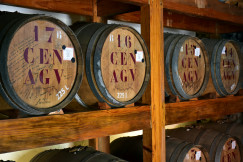 An illustrative photo of a row of wine barrels sitting on top of a wooden shelf.