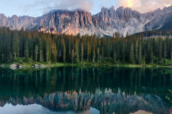 An illustrative photo of green pine trees near a lake and a mountain.