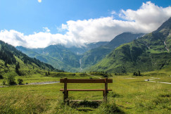 An illustrative photo of a wooden bench sitting on top of a lush green field.