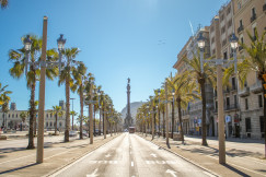 An illustrative photo of a street lined with palm trees.